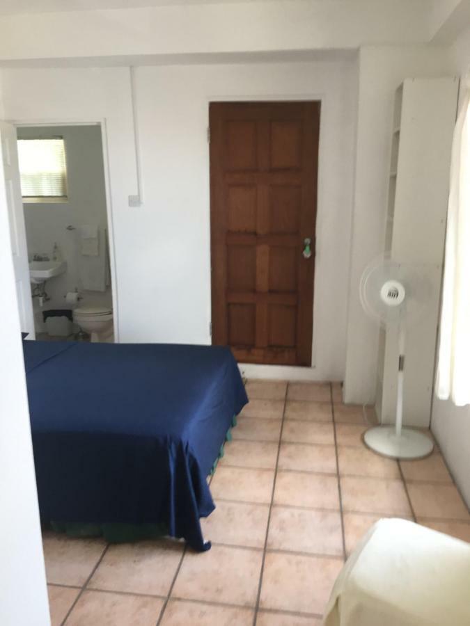 Carenage View Daire St. George's Dış mekan fotoğraf